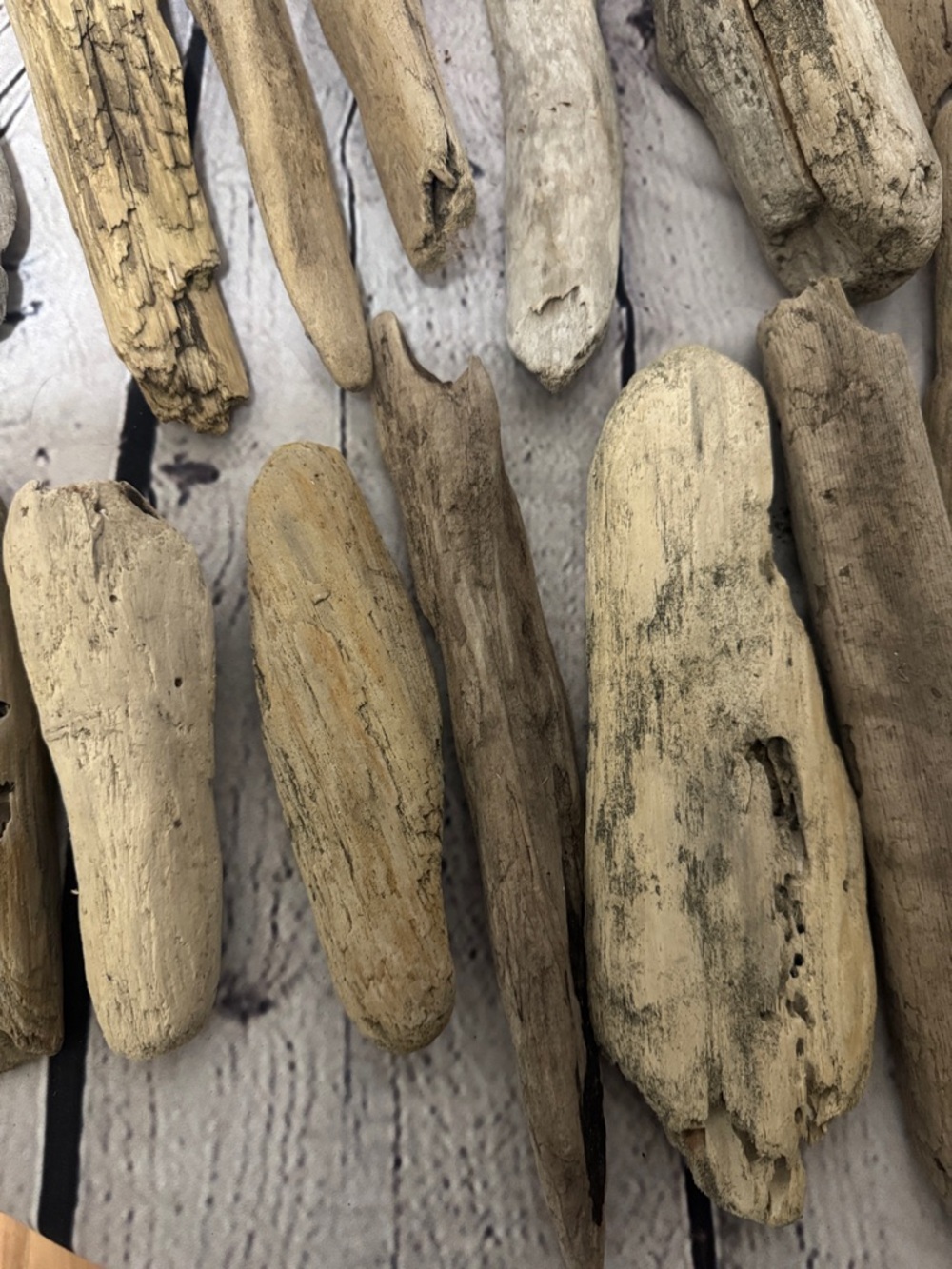 20 pieces PNW Pacific Ocean Grays Harbor Natural Driftwood Home Accent Bundle - Picture 8 of 17
